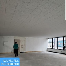 일산파스텔시티빌딩현장 KCC석고텍스.디럭스타일시공