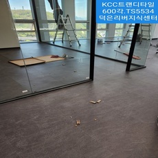 덕은지식산업센터.홍파초교KCC센스타일600각.TS553