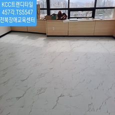 수원.경안중학교시공 KCC비앙코트랜디타일TS5547 
